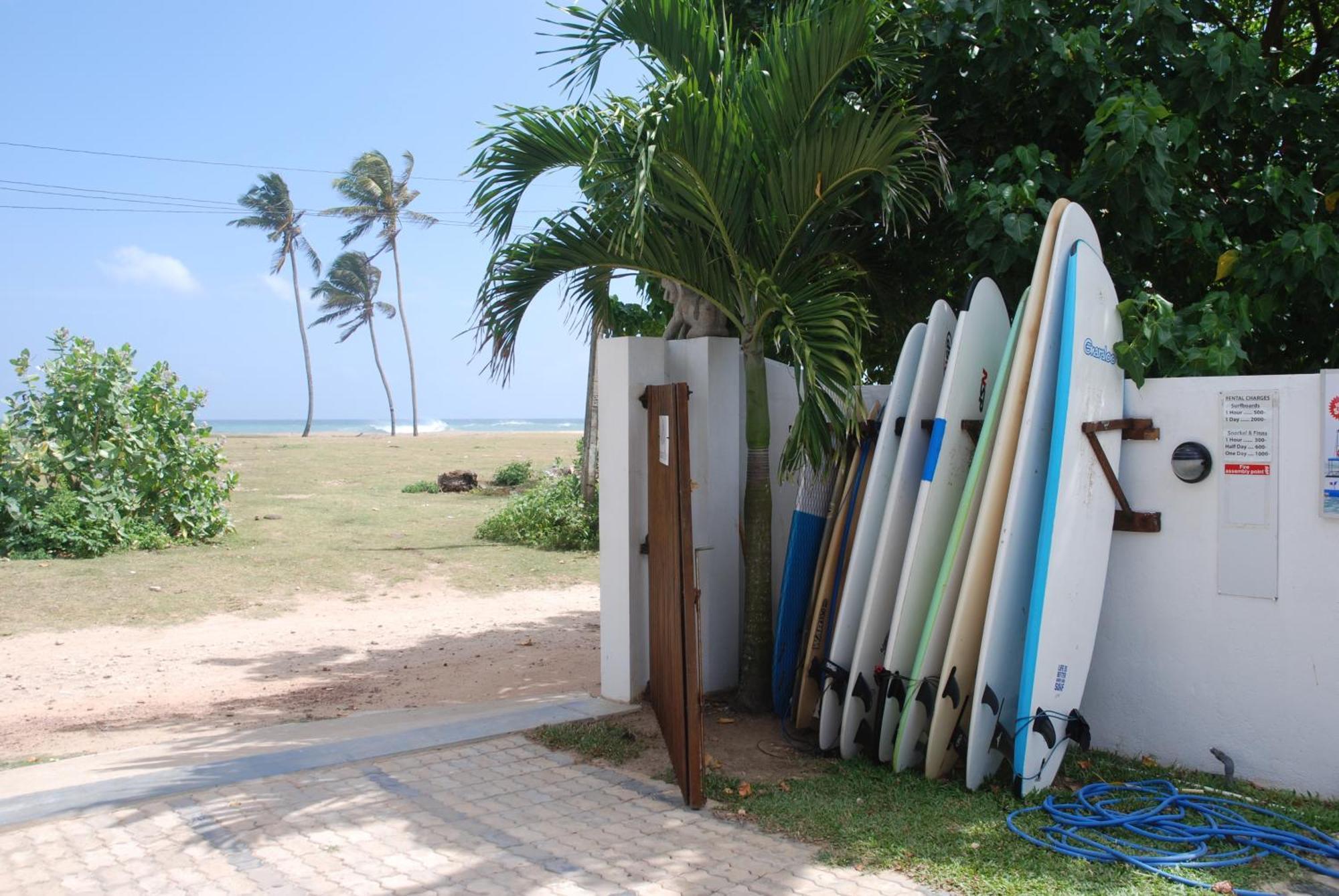 Lion'S Rest Hotel Weligama Kültér fotó