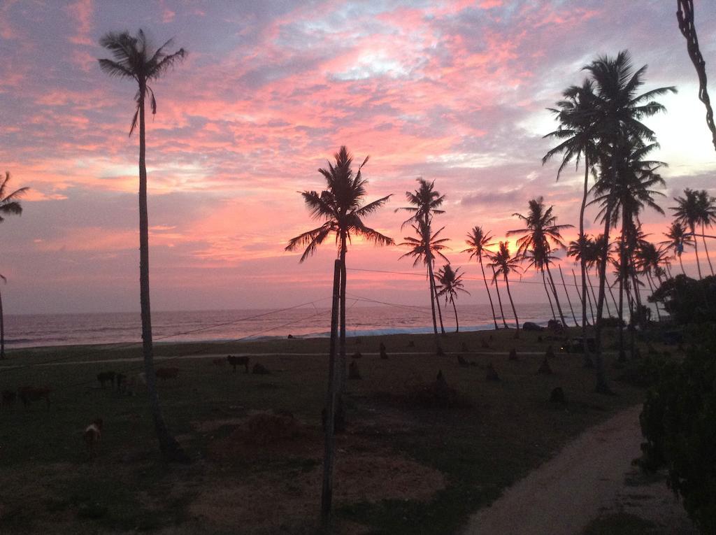 Lion'S Rest Hotel Weligama Kültér fotó